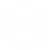 ICON-3
